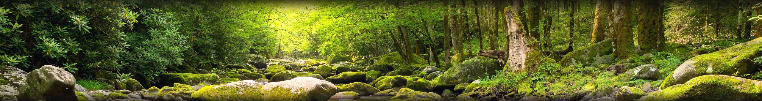 Earth style phpBB Earth nature